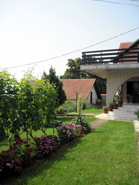 Domaćinstvo Radmila Radivojević 10